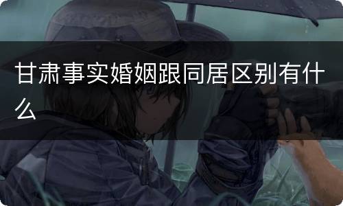 甘肃事实婚姻跟同居区别有什么