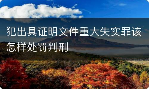 犯出具证明文件重大失实罪该怎样处罚判刑