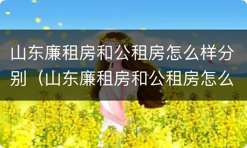 山东廉租房和公租房怎么样分别（山东廉租房和公租房怎么样分别呢）