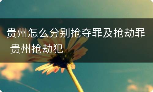 贵州怎么分别抢夺罪及抢劫罪 贵州抢劫犯