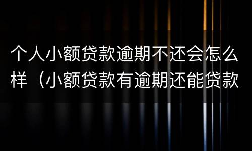 个人小额贷款逾期不还会怎么样（小额贷款有逾期还能贷款吗）