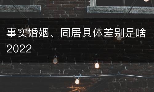 事实婚姻、同居具体差别是啥2022
