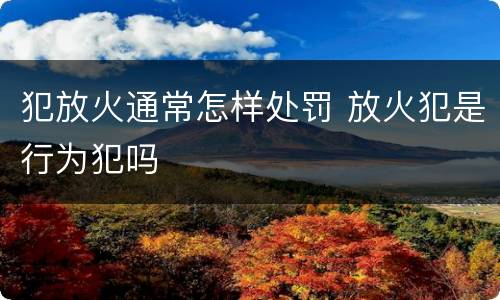 犯放火通常怎样处罚 放火犯是行为犯吗