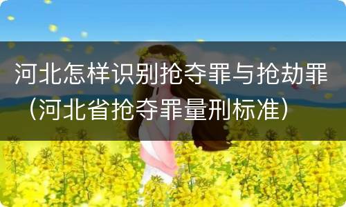 河北怎样识别抢夺罪与抢劫罪（河北省抢夺罪量刑标准）