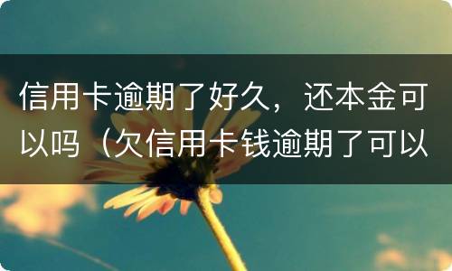 信用卡逾期了好久，还本金可以吗（欠信用卡钱逾期了可以几年再还吗?）