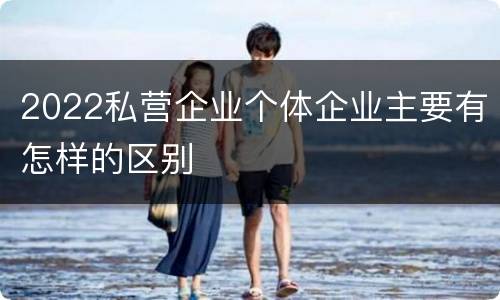 2022私营企业个体企业主要有怎样的区别