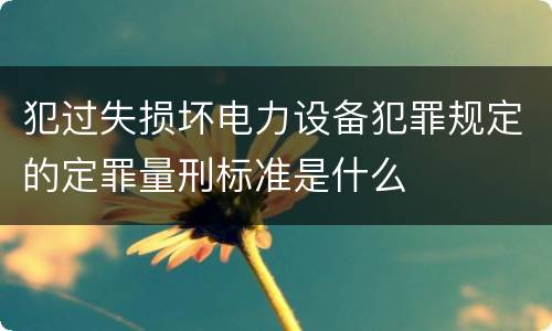 犯过失损坏电力设备犯罪规定的定罪量刑标准是什么