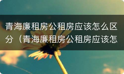 青海廉租房公租房应该怎么区分（青海廉租房公租房应该怎么区分呢）