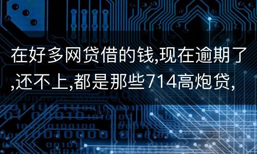 在好多网贷借的钱,现在逾期了,还不上,都是那些714高炮贷,征信上也没有