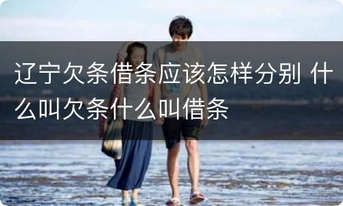 辽宁欠条借条应该怎样分别 什么叫欠条什么叫借条