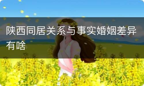 陕西同居关系与事实婚姻差异有啥
