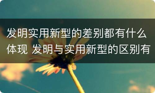 发明实用新型的差别都有什么体现 发明与实用新型的区别有