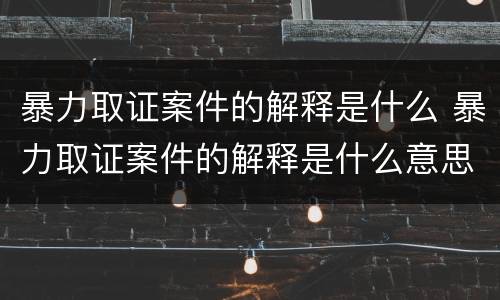 暴力取证案件的解释是什么 暴力取证案件的解释是什么意思