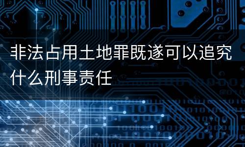 非法占用土地罪既遂可以追究什么刑事责任