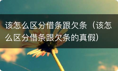 该怎么区分借条跟欠条（该怎么区分借条跟欠条的真假）