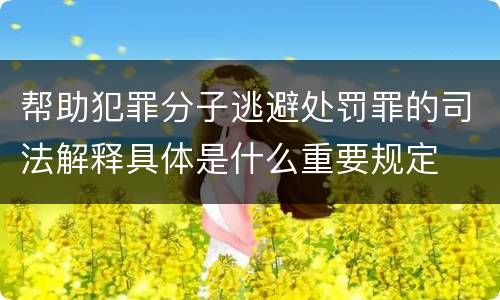 帮助犯罪分子逃避处罚罪的司法解释具体是什么重要规定