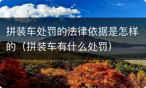 拼装车处罚的法律依据是怎样的（拼装车有什么处罚）