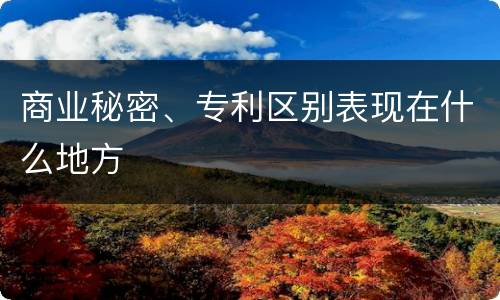 商业秘密、专利区别表现在什么地方