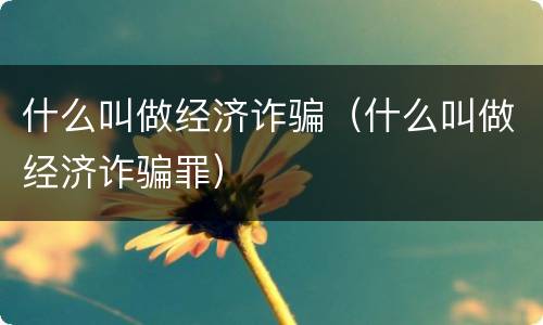 什么叫做经济诈骗（什么叫做经济诈骗罪）