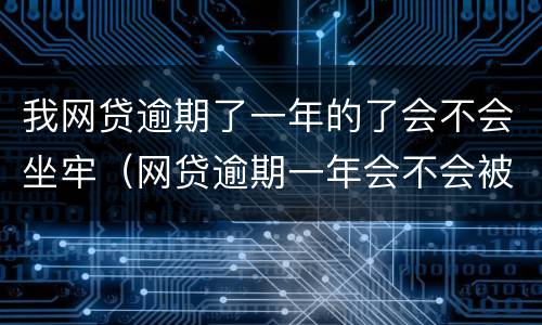 我网贷逾期了一年的了会不会坐牢（网贷逾期一年会不会被起诉）