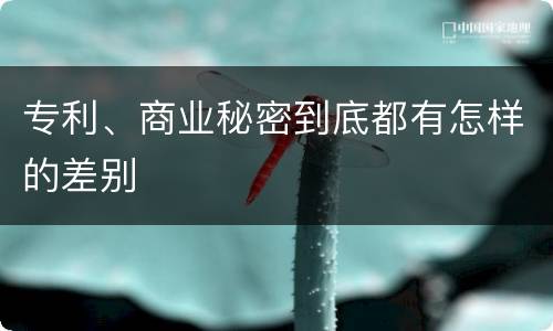 专利、商业秘密到底都有怎样的差别