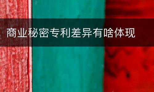 商业秘密专利差异有啥体现