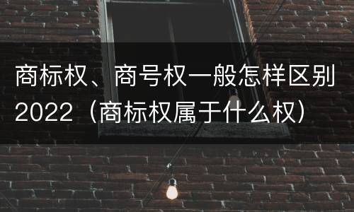 商标权、商号权一般怎样区别2022（商标权属于什么权）