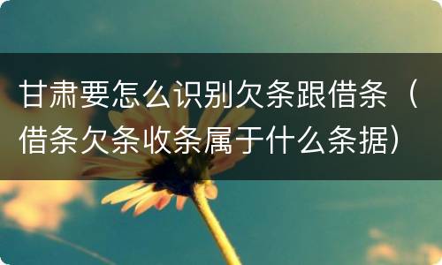 甘肃要怎么识别欠条跟借条（借条欠条收条属于什么条据）