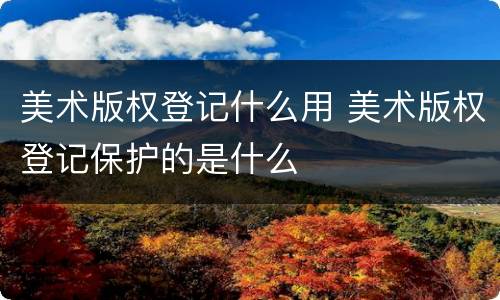 美术版权登记什么用 美术版权登记保护的是什么