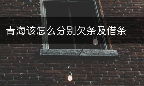 青海该怎么分别欠条及借条