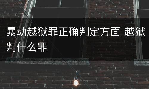 暴动越狱罪正确判定方面 越狱判什么罪