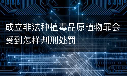 成立非法种植毒品原植物罪会受到怎样判刑处罚