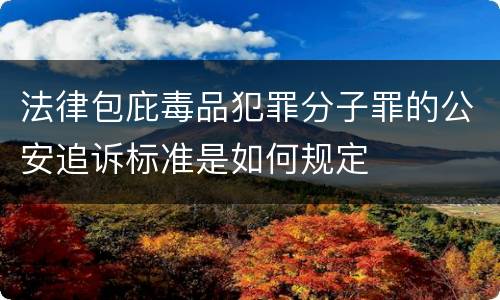 法律包庇毒品犯罪分子罪的公安追诉标准是如何规定