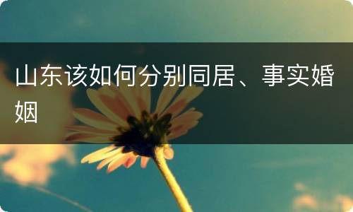 山东该如何分别同居、事实婚姻