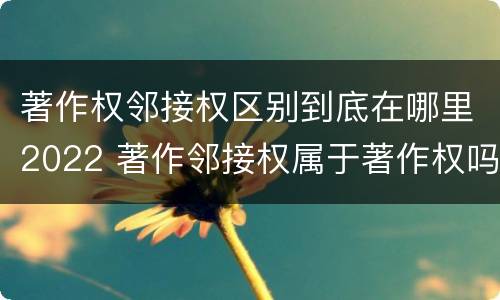 著作权邻接权区别到底在哪里2022 著作邻接权属于著作权吗