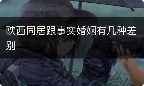 陕西同居跟事实婚姻有几种差别