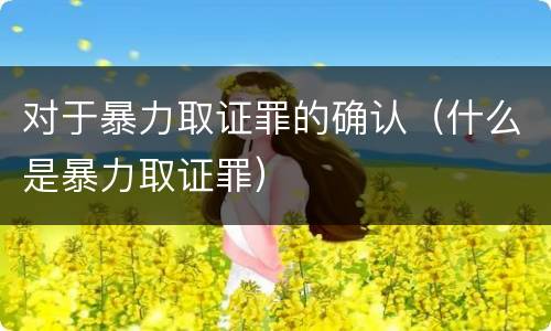 对于暴力取证罪的确认（什么是暴力取证罪）