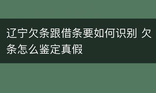 辽宁欠条跟借条要如何识别 欠条怎么鉴定真假