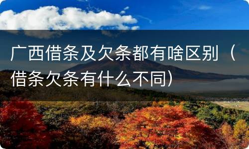 广西借条及欠条都有啥区别（借条欠条有什么不同）