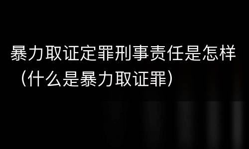 暴力取证定罪刑事责任是怎样（什么是暴力取证罪）