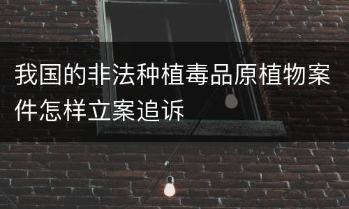 我国的非法种植毒品原植物案件怎样立案追诉