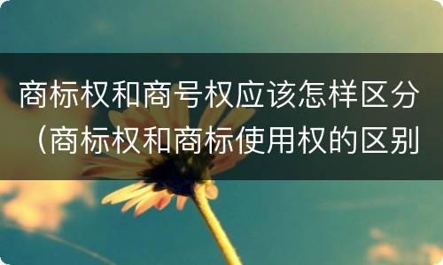 商标权和商号权应该怎样区分（商标权和商标使用权的区别）