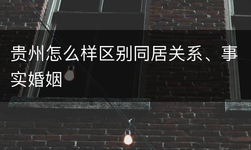 贵州怎么样区别同居关系、事实婚姻