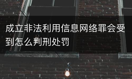 成立非法利用信息网络罪会受到怎么判刑处罚