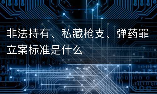 非法持有、私藏枪支、弹药罪立案标准是什么