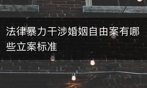 法律暴力干涉婚姻自由案有哪些立案标准