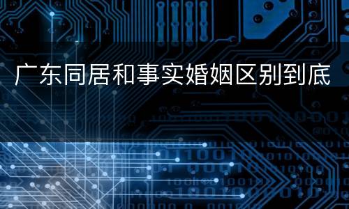 广东同居和事实婚姻区别到底