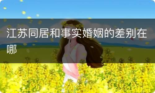 江苏同居和事实婚姻的差别在哪