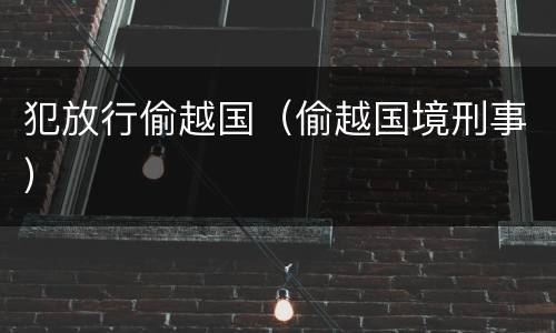 犯放行偷越国（偷越国境刑事）
