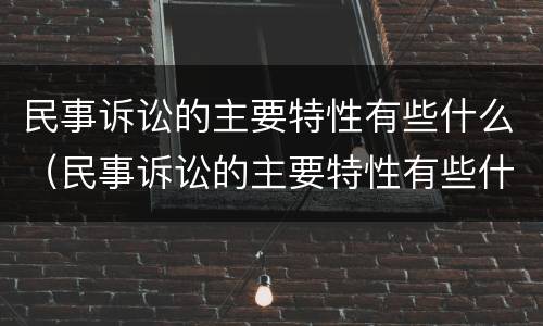 民事诉讼的主要特性有些什么（民事诉讼的主要特性有些什么内容）